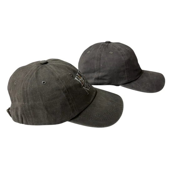 Gray Stone Washed Bird Nerd| Cardinal Cap - Picture 3 of 4